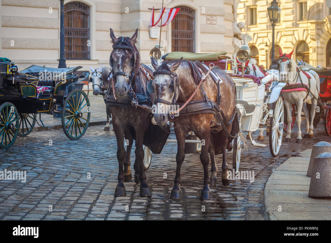Horse-drawn carriage or Fiaker, popular tourist attraction, on ...
