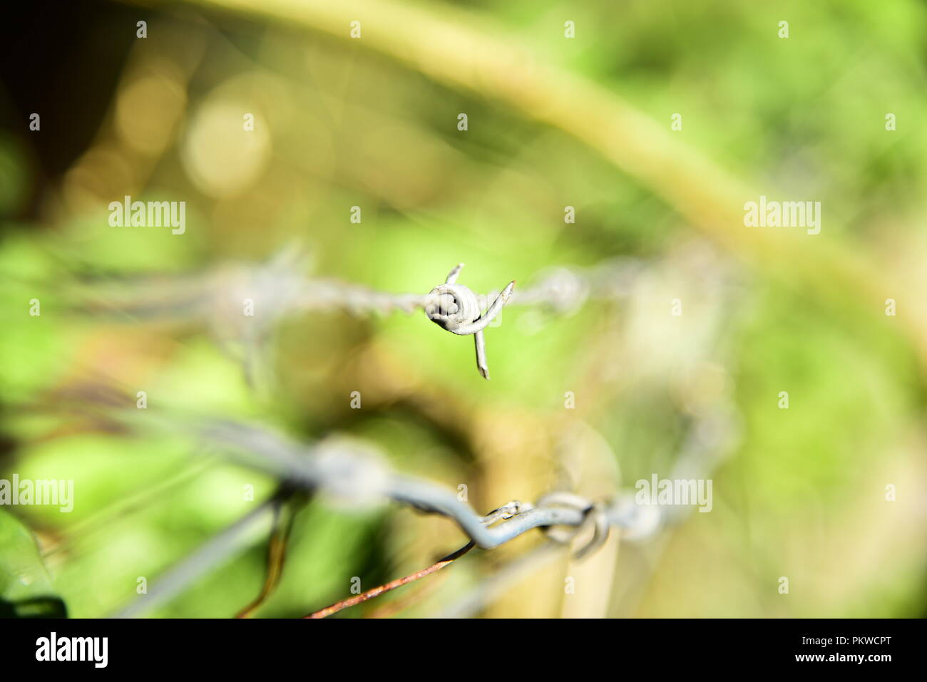 barbed wire with blurry background Stock Photo - Alamy