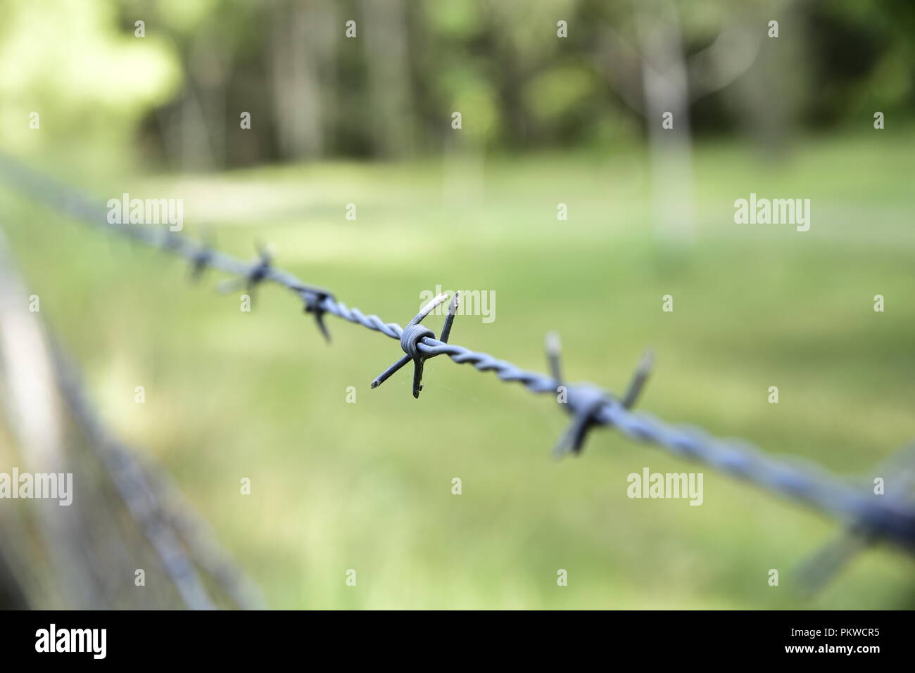 barbed wire with blurry background Stock Photo - Alamy