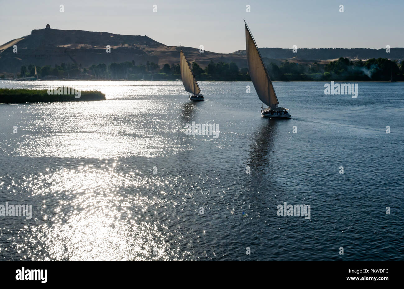 Silhouettes of traditional felucca sailing boats at sunset in River Nile with view across river to West riverbank, Aswan, Egypt, Africa Stock Photo