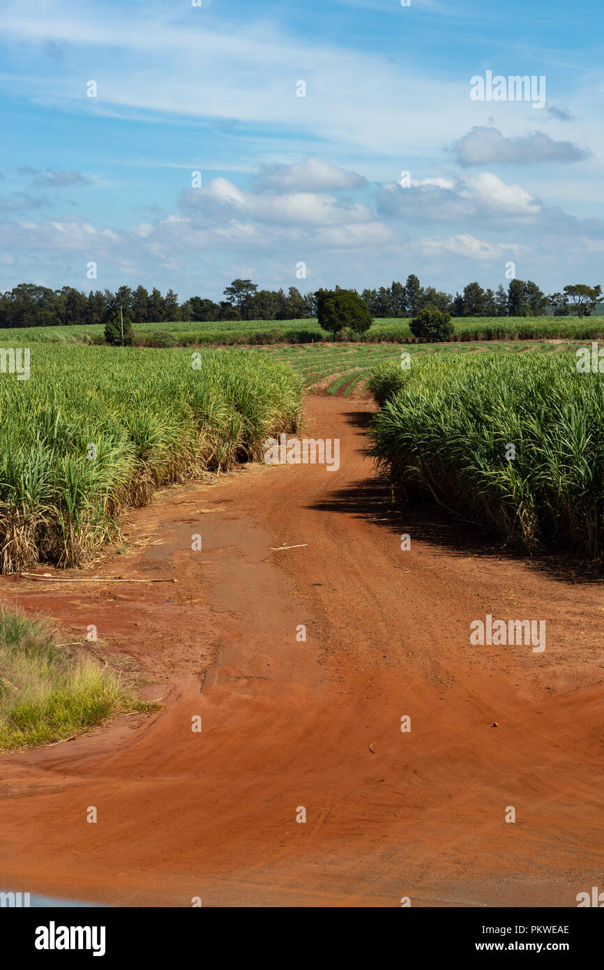Red dirt roads. Sugar cane plantation Stock Photo Alamy