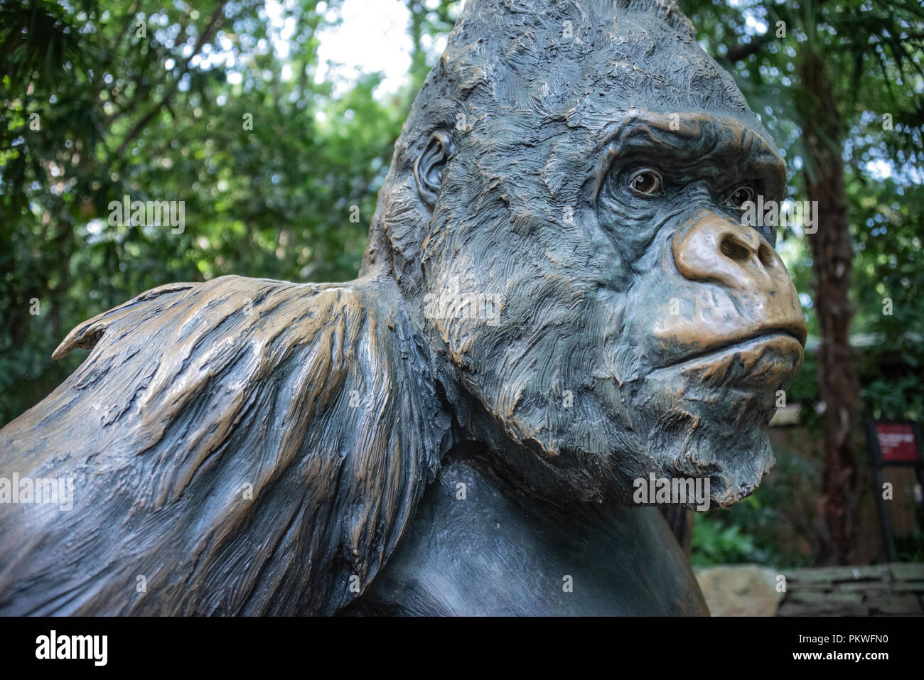 Bronze statue of Willie B., a popular western lowland gorilla at Zoo Atlanta who was named after former mayor of Atlanta, William Berry Hartsfield. Stock Photo
