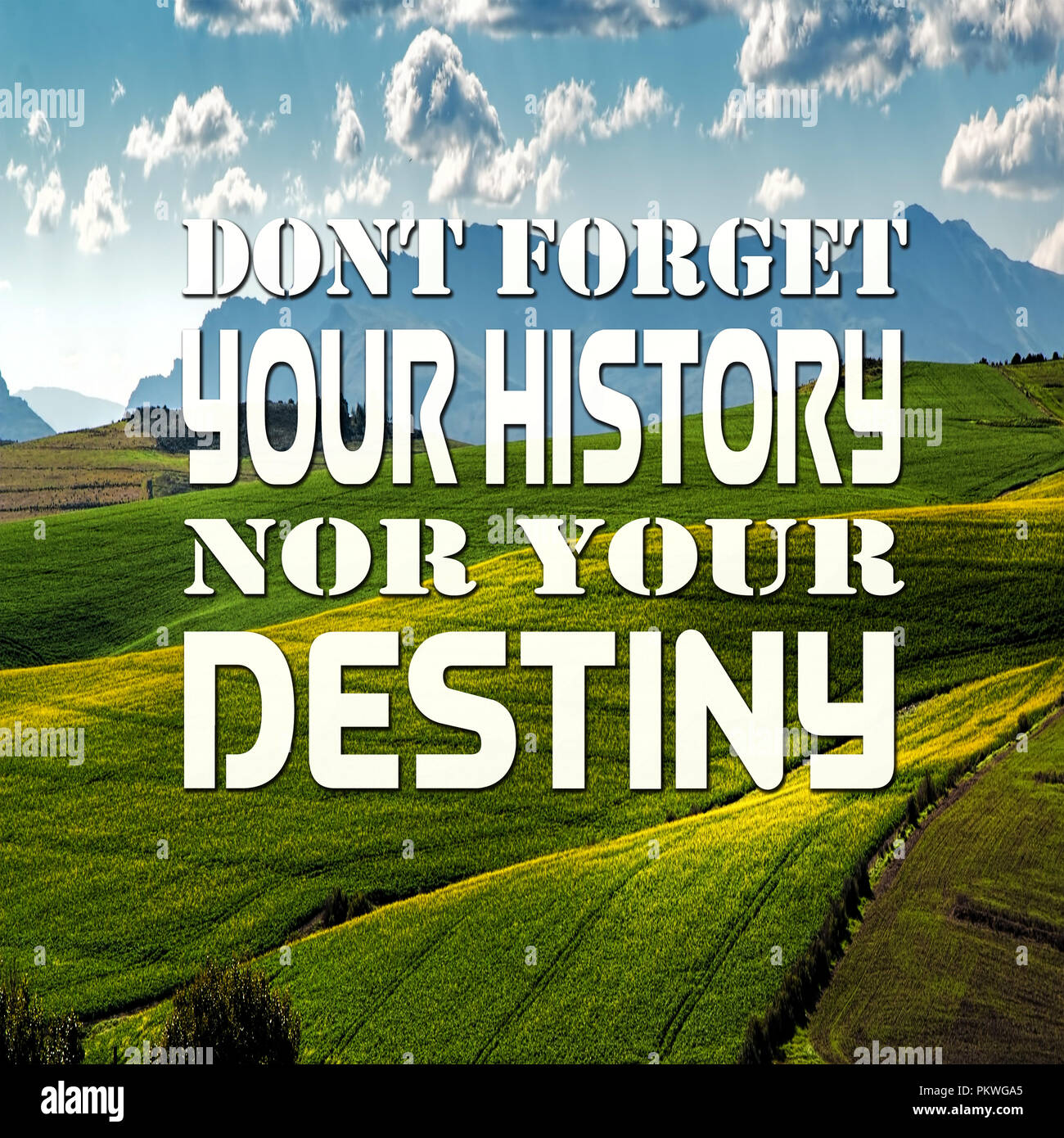 Inspirational Quotes Don't forget your history nor your destiny ...