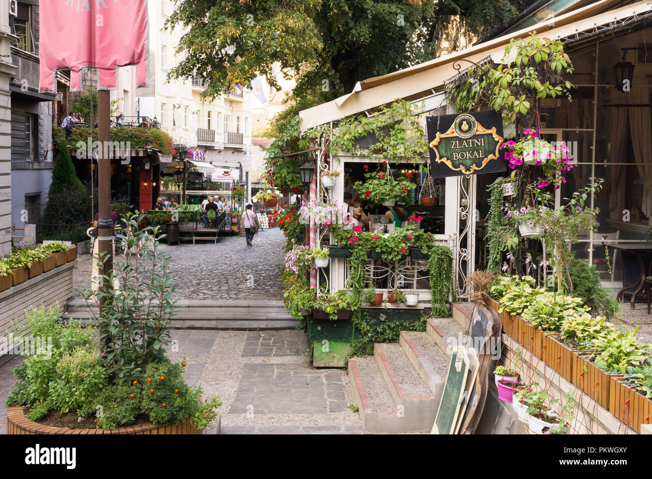 The bohemian Belgrade quarter on Skadarska street and one of the preserved 19th century traditional restaurants Zlatni Bokal. Serbia. Stock Photo