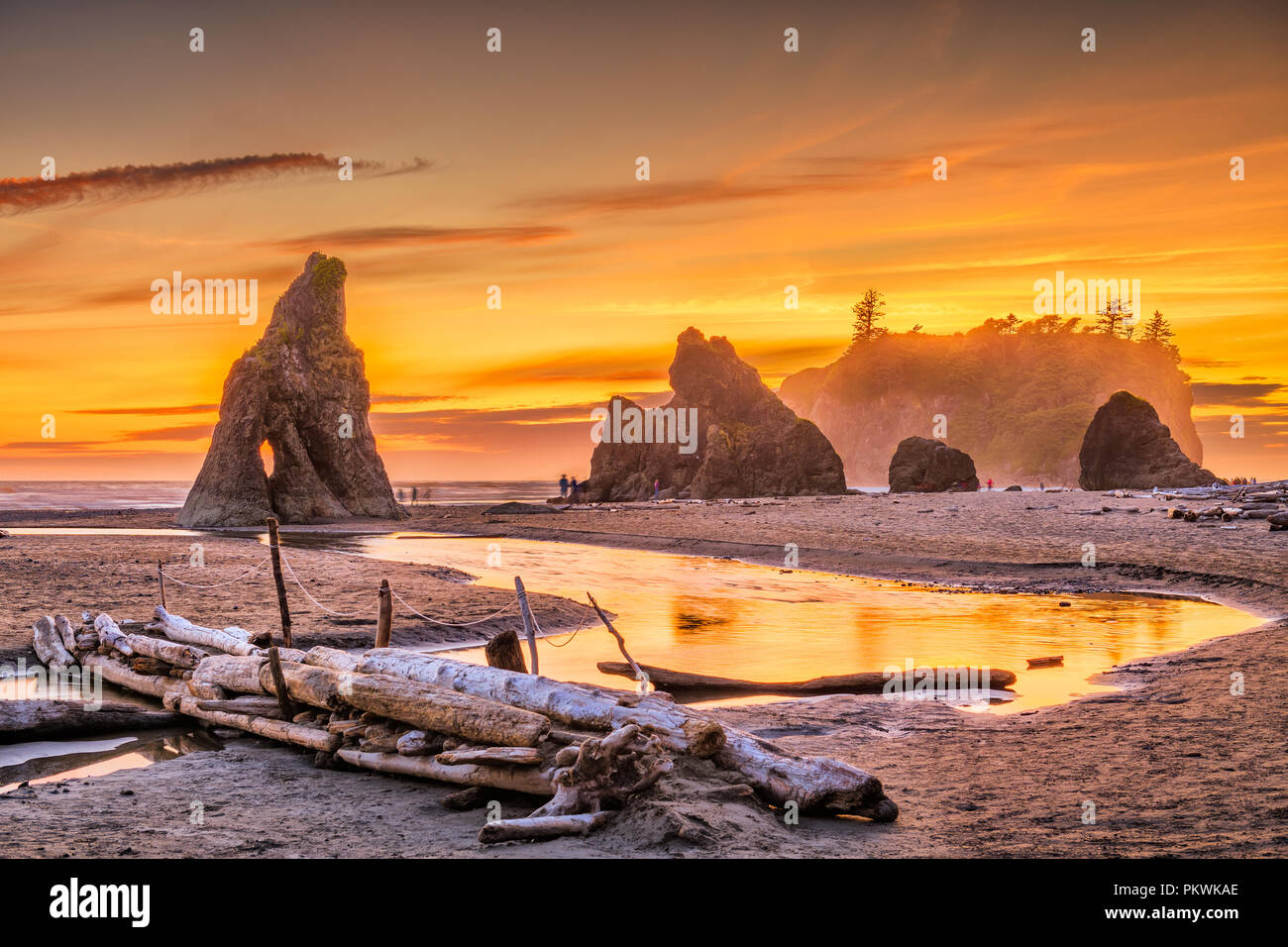 Olympic National Park, Washington, USA at Ruby Beach with piles of deadwood. Stock Photo