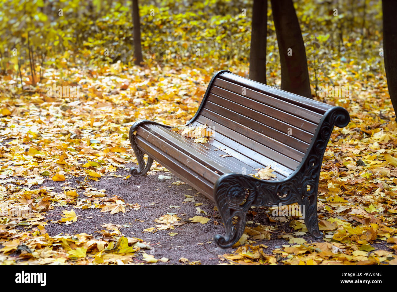 Empty lonely wooden brown bench in the city park, Yellow maple leaves. Autumn, fall season, sad mood, loneliness Stock Photo