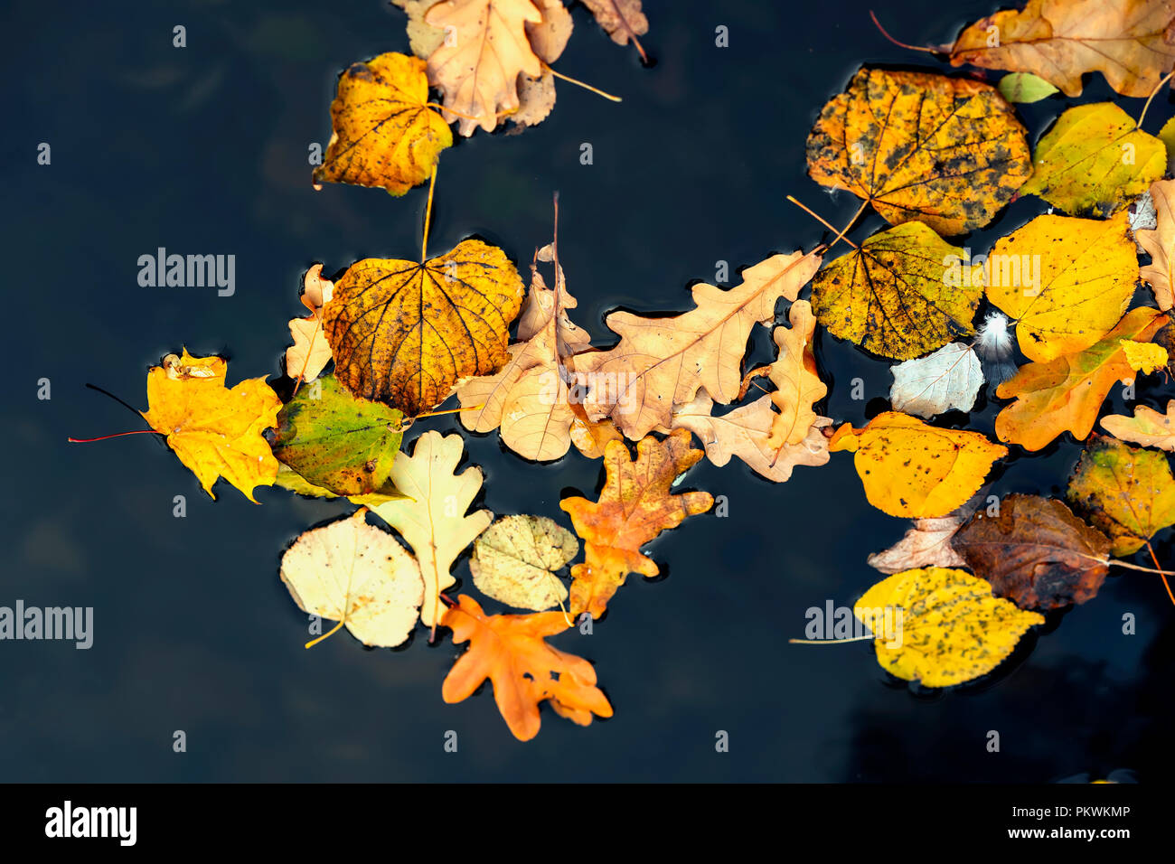 Wallpaper dark orange hi-res stock photography and images - Alamy
