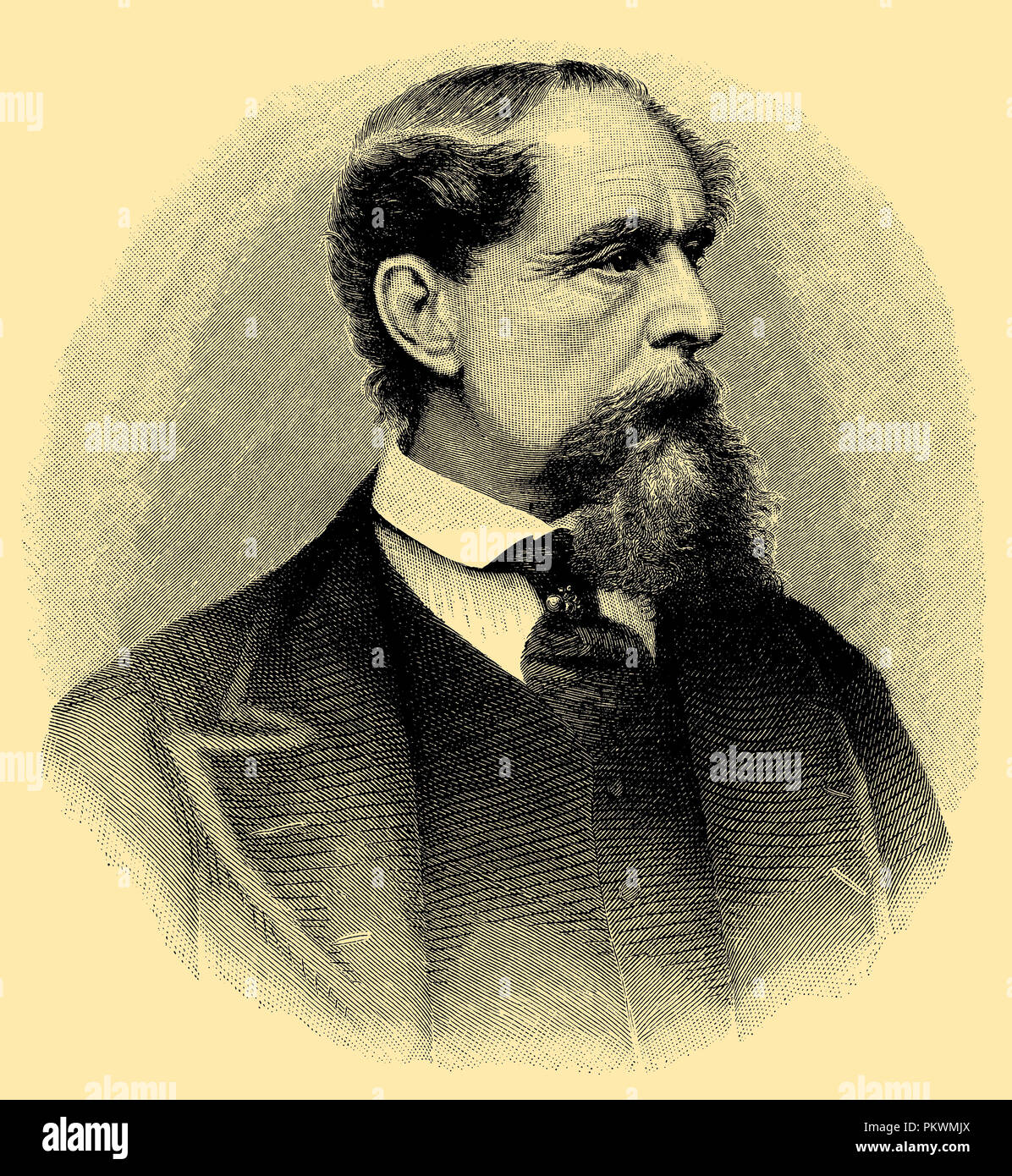 Charles Dickens at the age of 56. After the engraving by J.G. Armitage, in Forster, The Lilfe of Dickens, translated by Althaus, Berlin 1873, Stock Photo