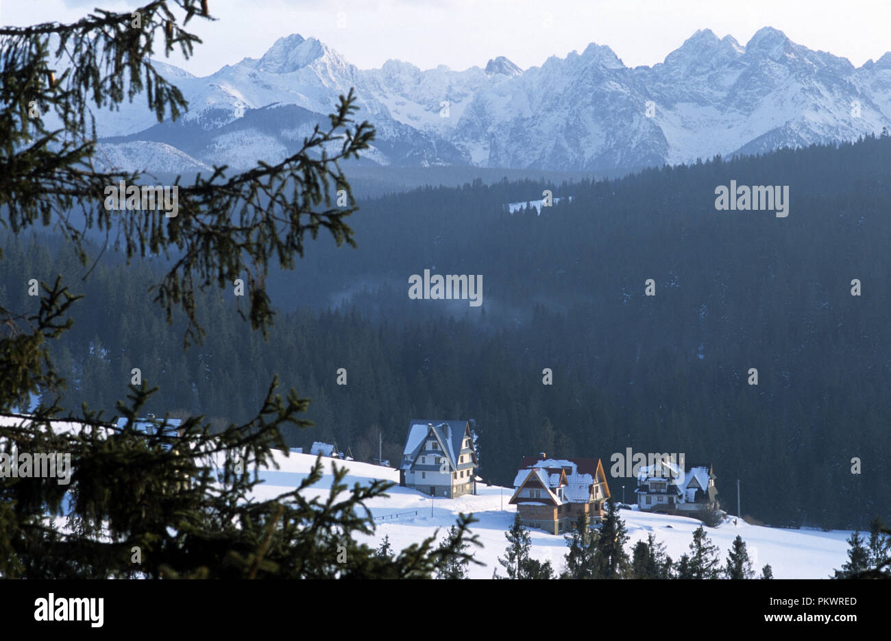 Tatra Mountains as seen from the mountain resort town of Tatranski Bukowina in the south of Poland, Feb 2007 Stock Photo