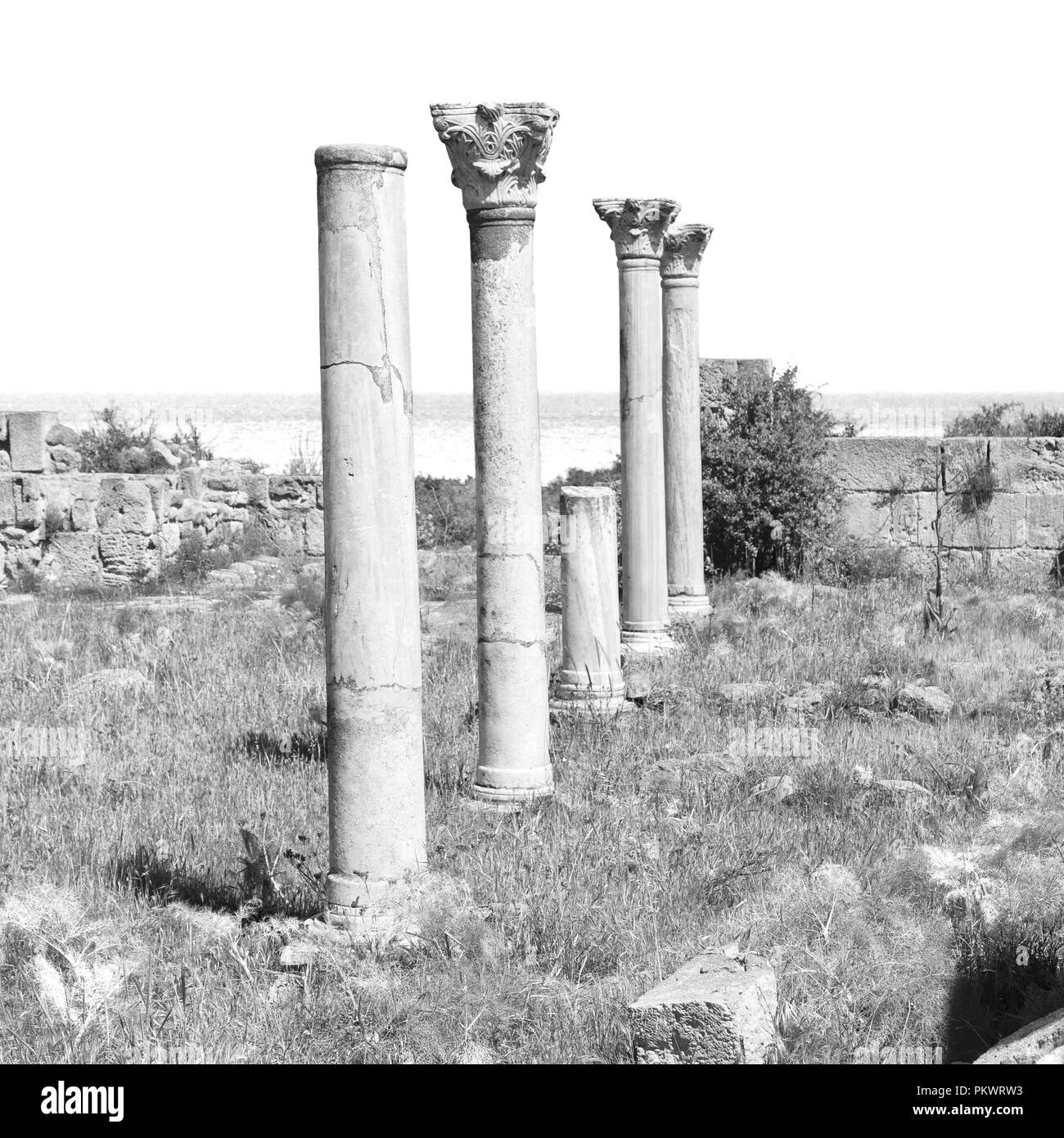 in northern of cyprus the antique city and ruins of salamina history and tradition Stock Photo