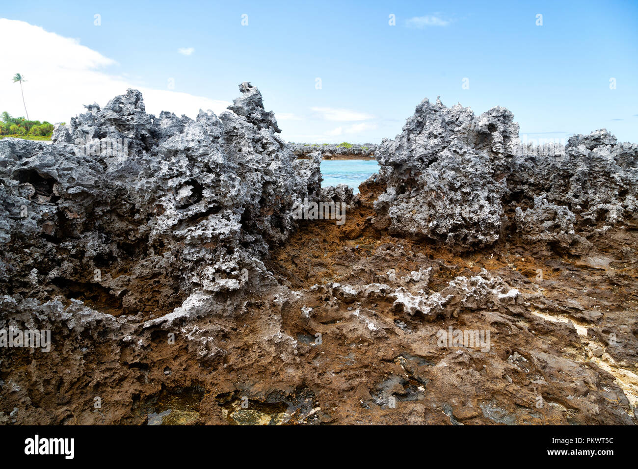 Polynesian Rocks in polynesia the rocks of the coastline like paradise concept and relax ...