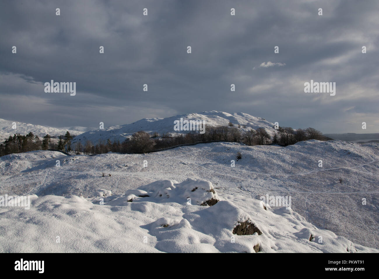 Panoramic view of Loughrigg Fell, English Lake District, UK. Winter view with full snow cover and high cloud. Stock Photo