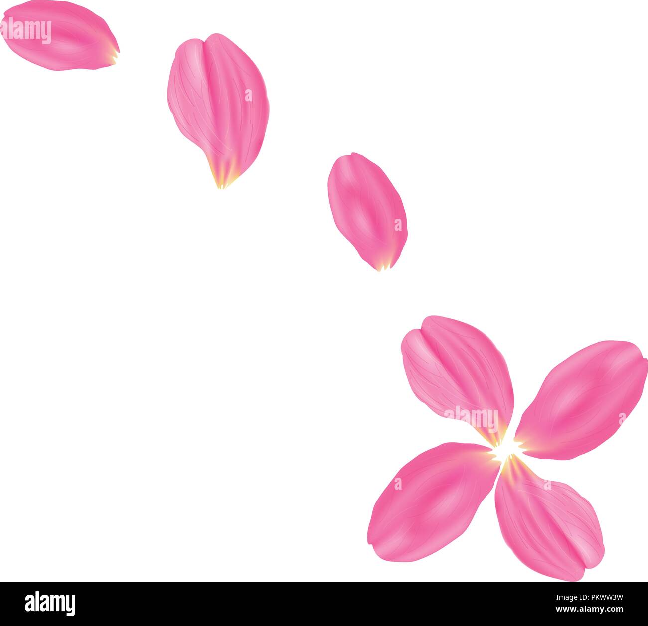 Vector illustration. Set Pink rose petals. White background Stock Vector  Image & Art - Alamy