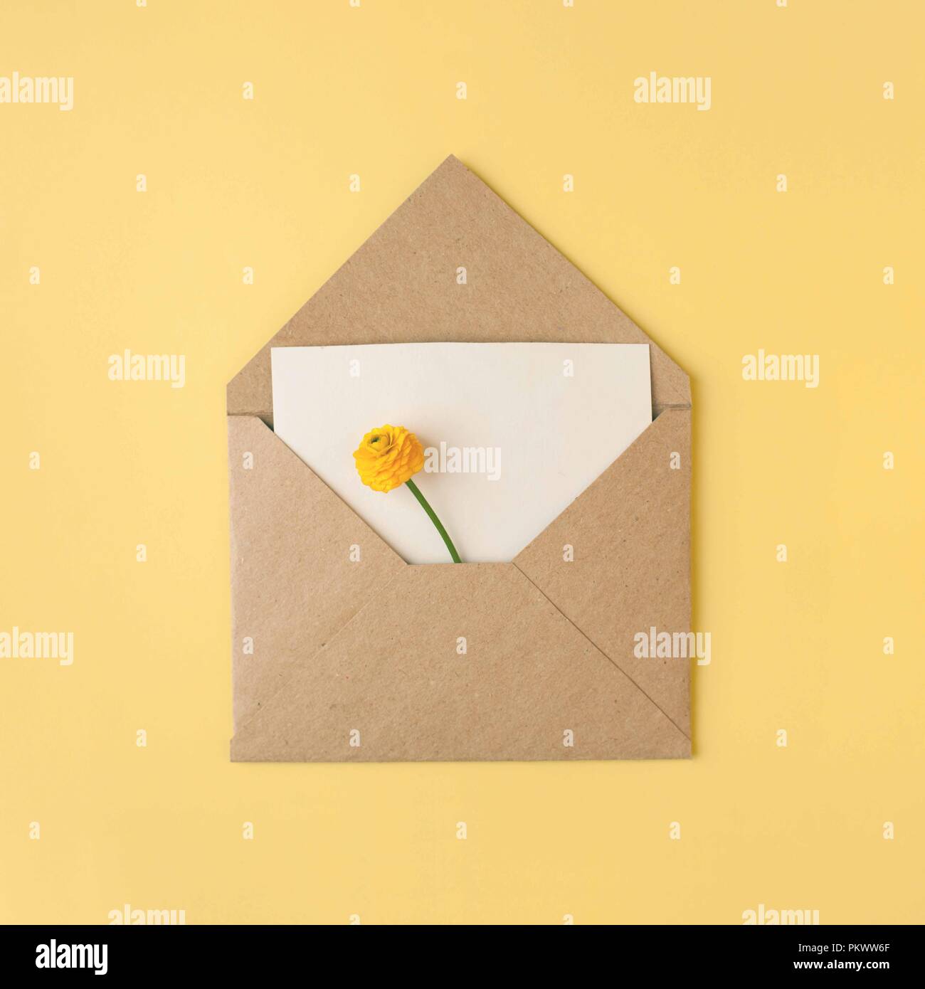 Alone yellow flower and blank on yellow pastel background, beautiful breakfast, vintage romantic card, top view, flat lay, muted colors Stock Photo