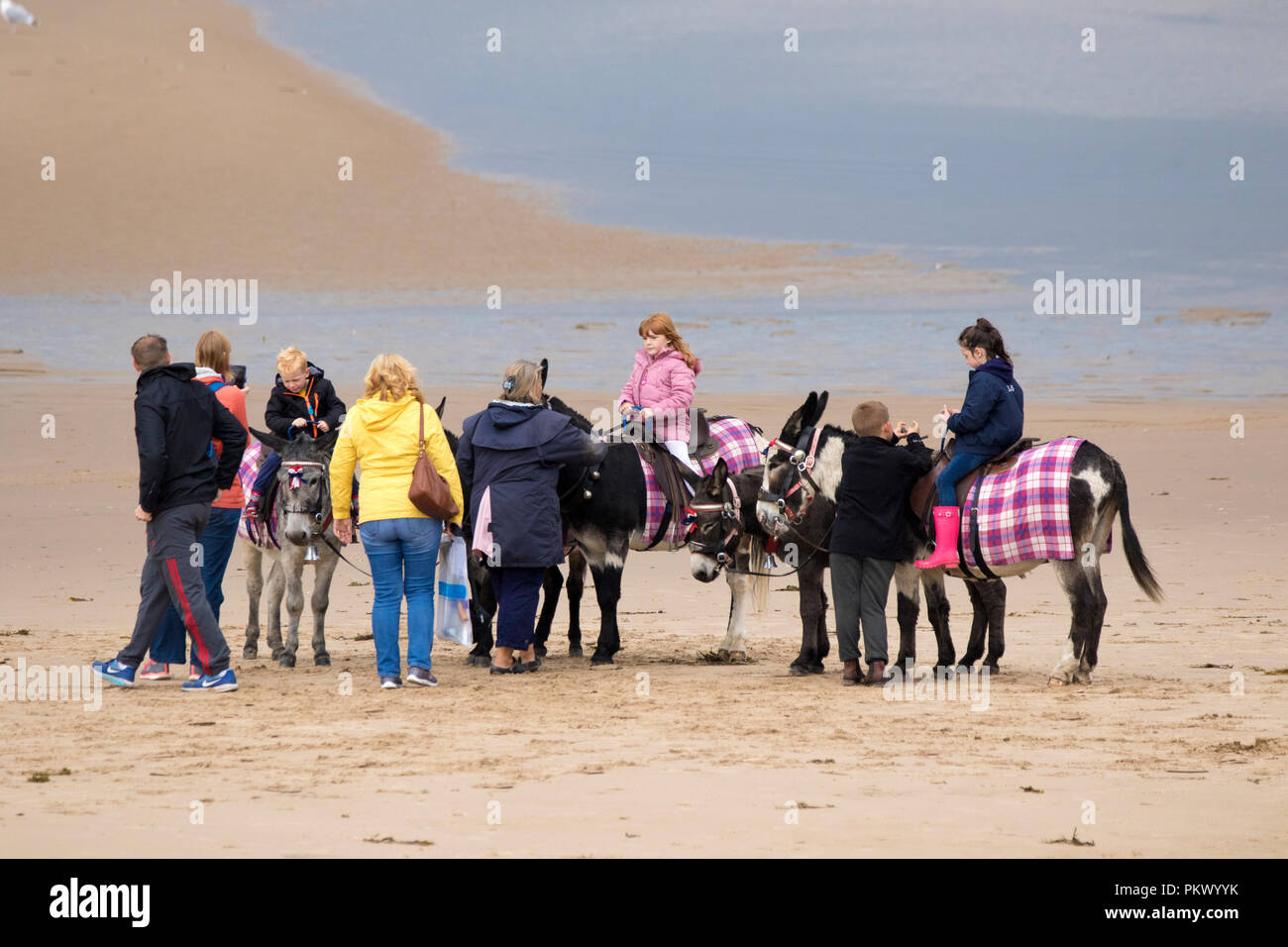 seaside-donkeys-tourists-and-holidaymakers-on-the-beach-at-blackpool
