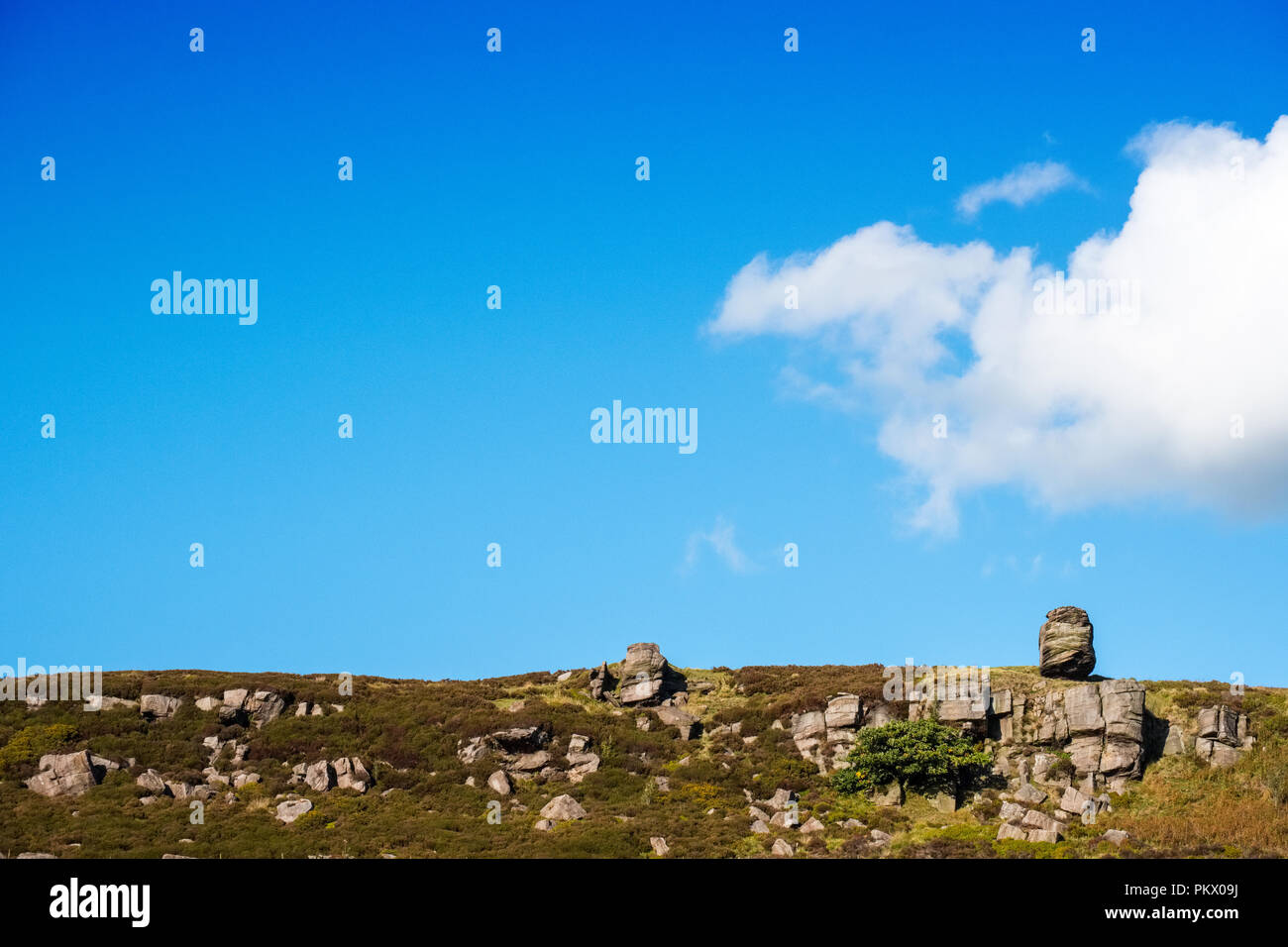 Gritstone outcrop and blue sky at Gradbach in the Staffordshire Moorlands area of the Peak District National Park Stock Photo