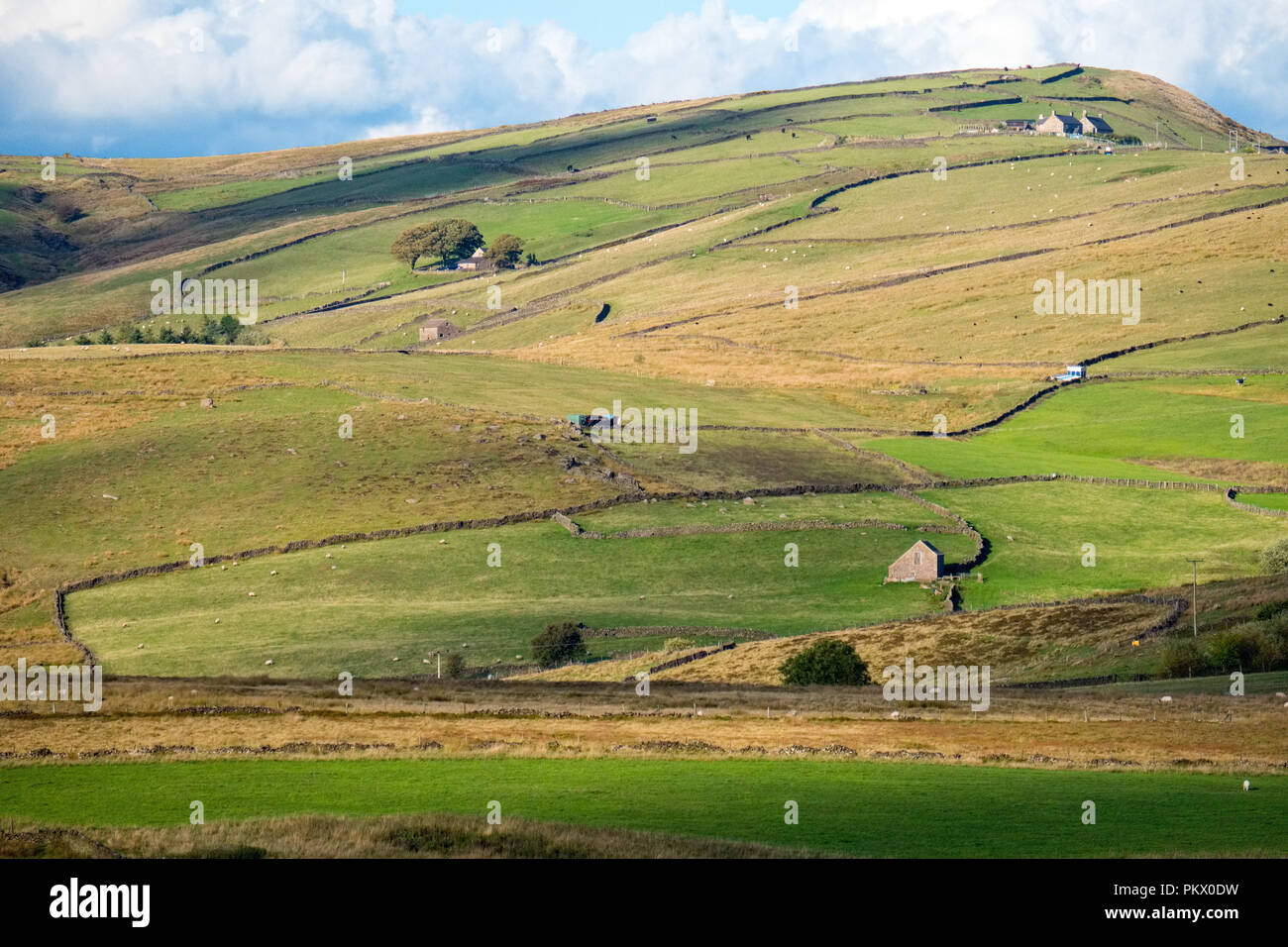 Moorland and rough pasture in the Staffordshire Moorlands area of the