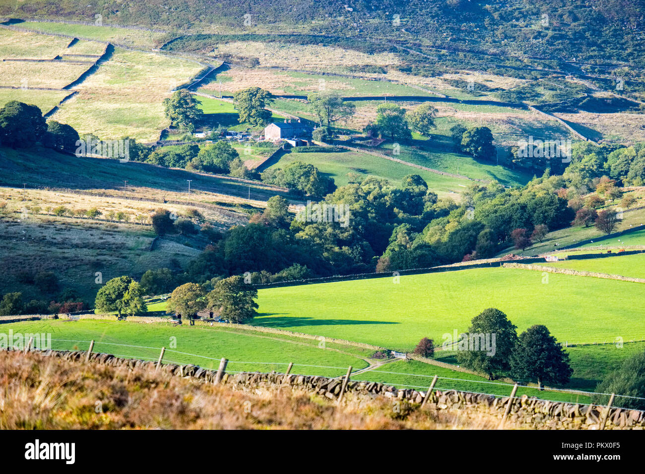 Moorland and rough pasture in the Staffordshire Moorlands area of the
