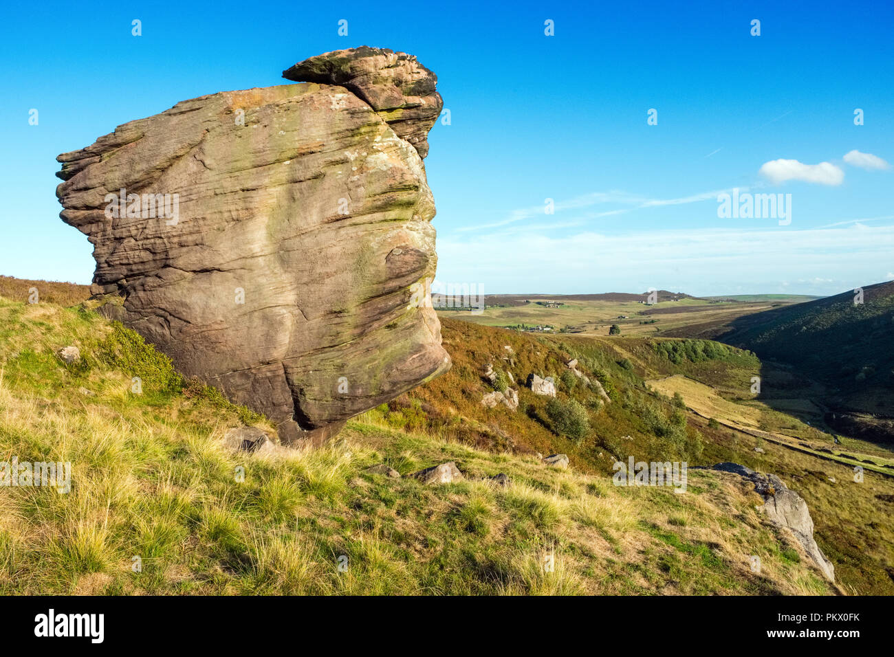 Gritstone outcrop , Gradbach Hill, Staffordshire Moorlands, Peak District National Park ,UK Stock Photo
