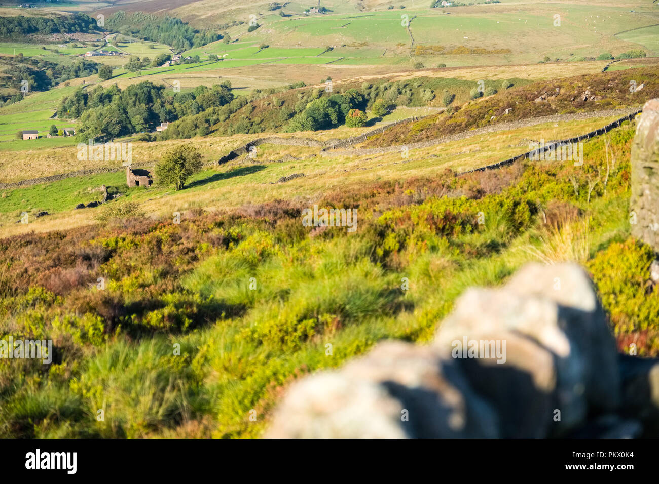 Moorland and rough pasture in the Staffordshire Moorlands area of the