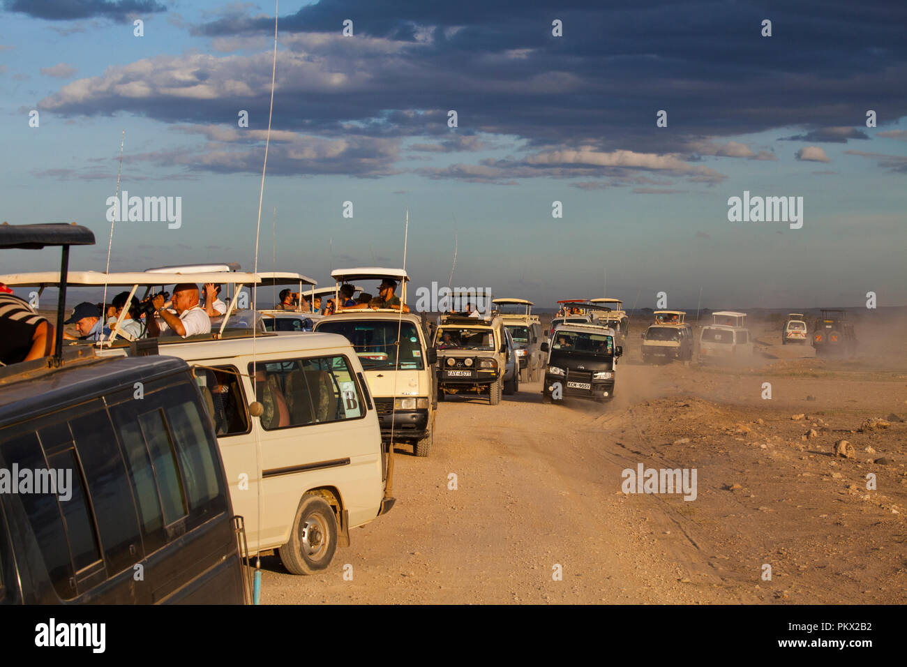 AMBOSELI NATIONAL PARK, KENYA - FEBRUARY 22, 2018: Traffic jam in Amboseli - the tourists watching the lions family from a safari car. Stock Photo