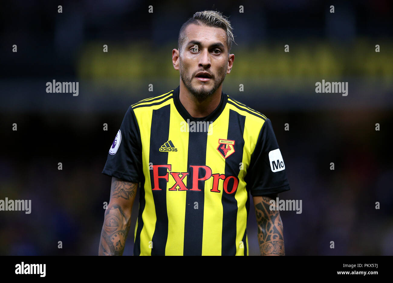 Page 2 Watfords Roberto Pereyra High Resolution Stock Photography And Images Alamy Page 2 Watfords Roberto Pereyra High Resolution Stock Photography And Images Alamy