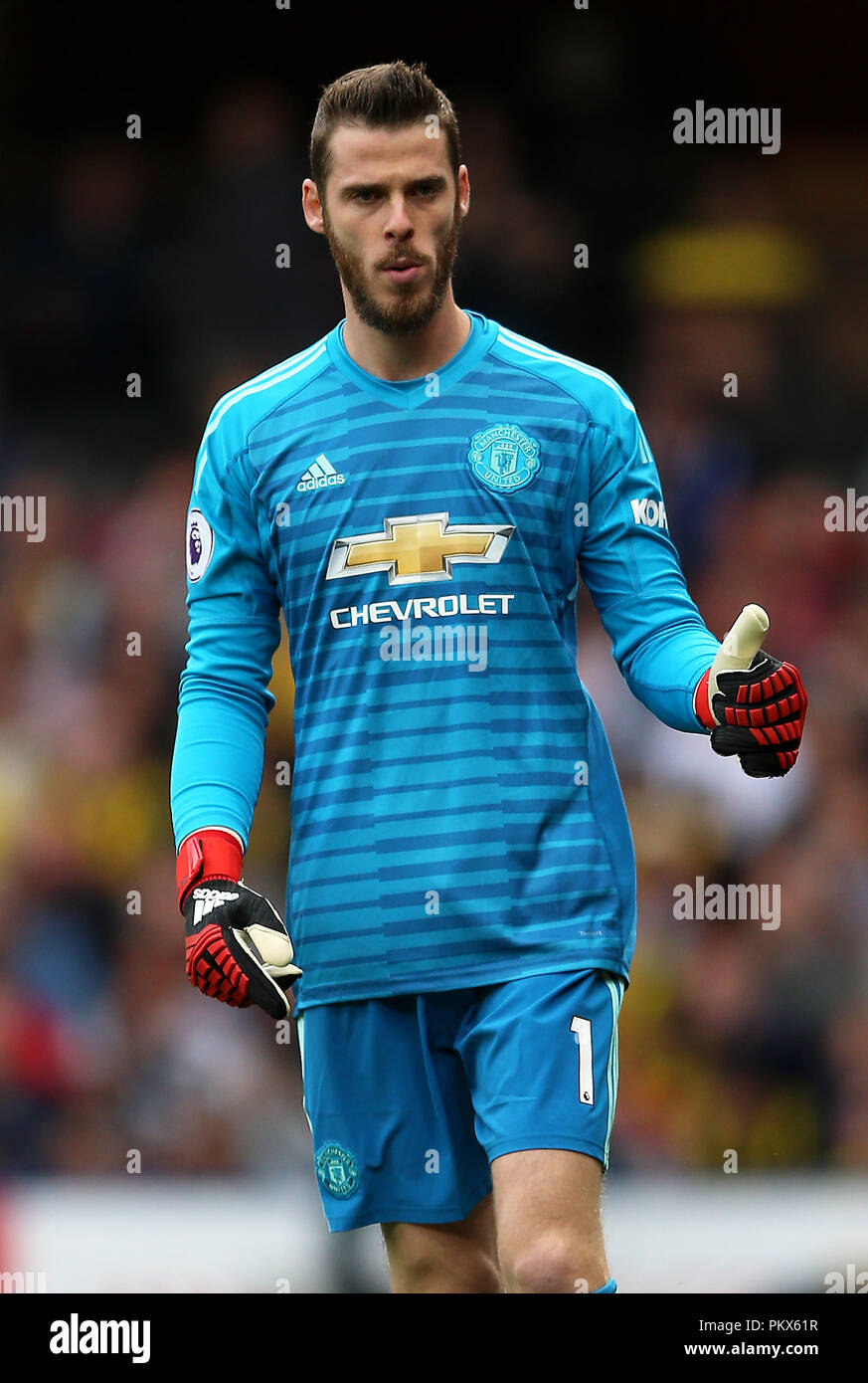 Manchester United goalkeeper David de Gea during the Premier League match  at Vicarage Road, Watford PRESS ASSOCIATION Photo. Picture date: Saturday  September 15, 2018. See PA story SOCCER Watford. Photo credit should