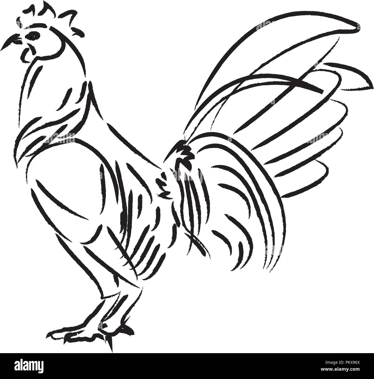 Chicken Drawing Vector Art PNG Images | Free Download On Pngtree