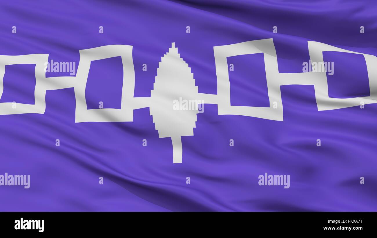 Iroquois Confederacy Indian Flag, Closeup View, 3D Rendering Stock