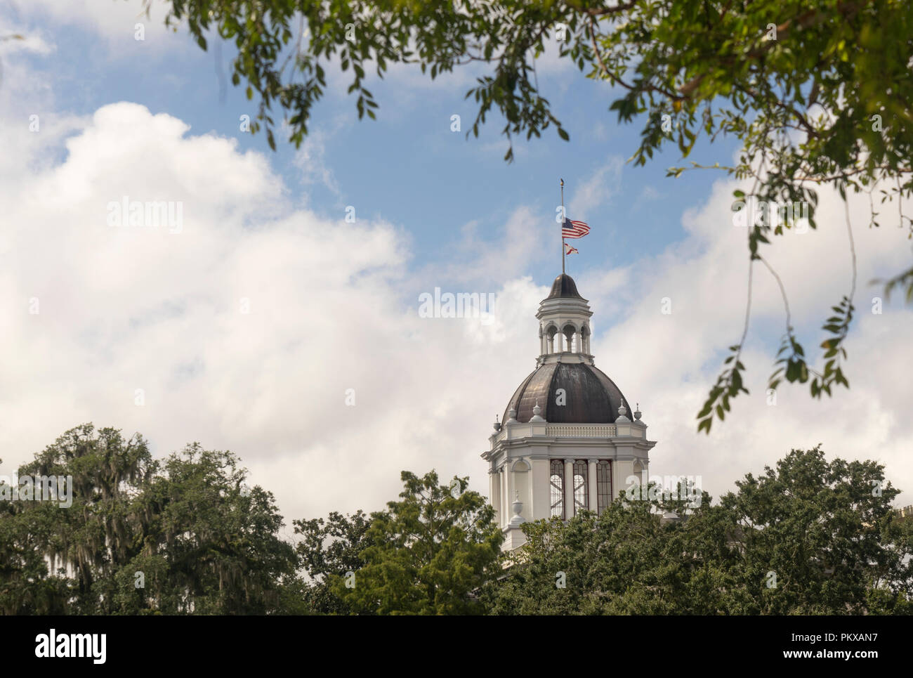 Moss Grows on Trees Framing the Capital Building in Tallahassee Florida Stock Photo