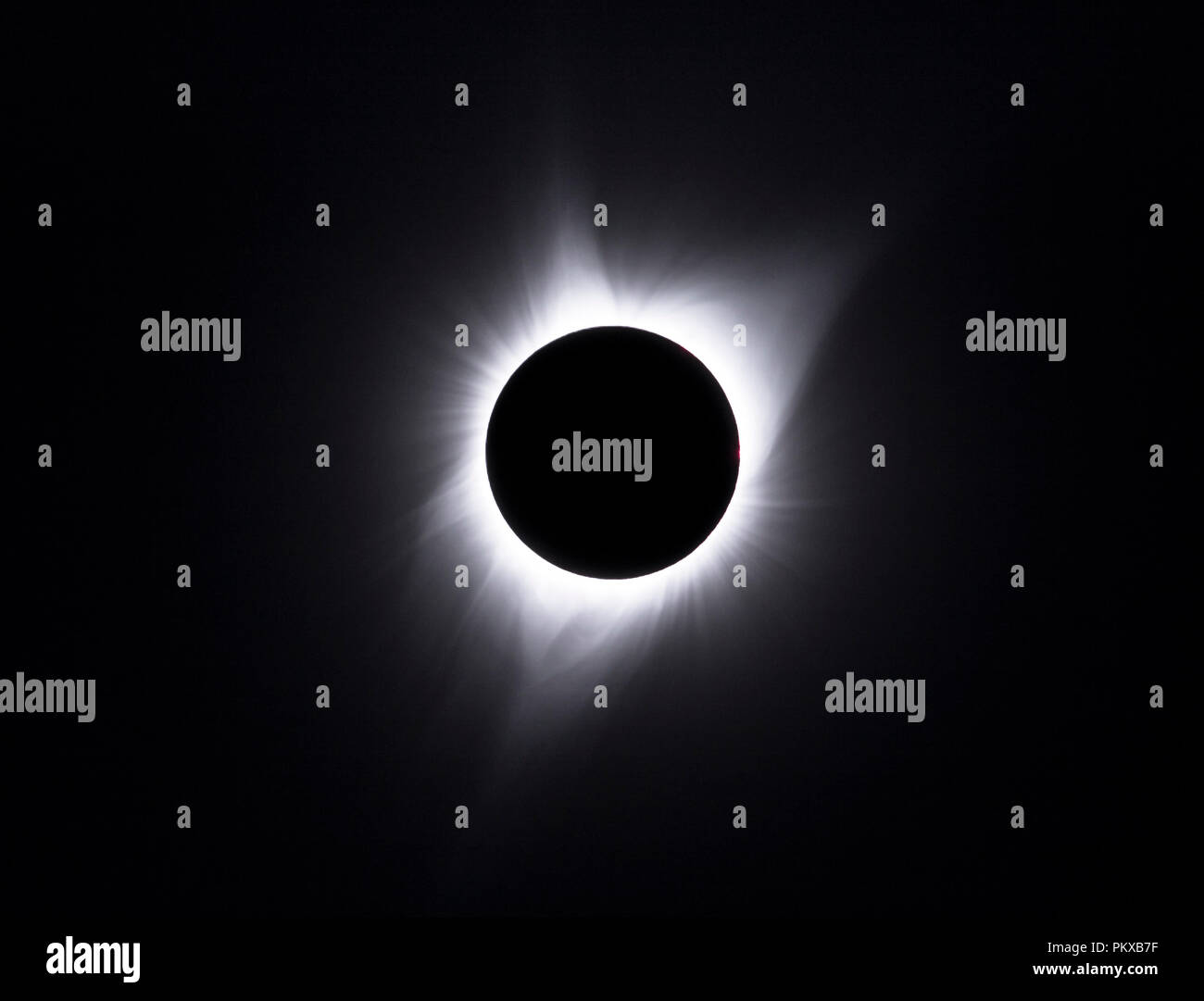 The solar corona is visible during the total solar eclipse on 8-21-17, seen from the Strawberry Mountains, eastern Oregon. Stock Photo