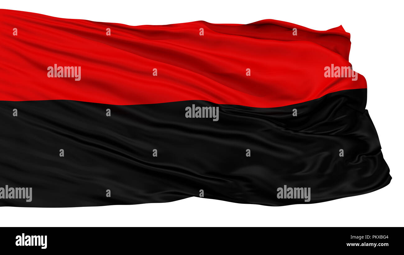 Congress Of Ukrainian Nationalism Flag, Isolated On White Background ...