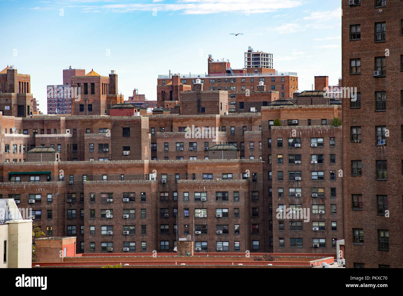 Brooklyn rooftop water tower sunset hires stock photography and images