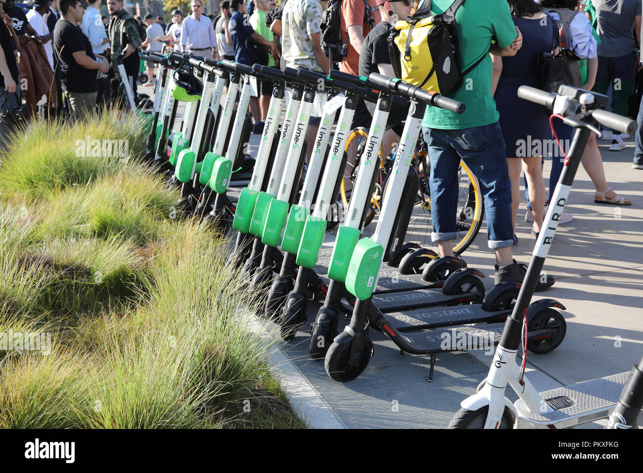 Bird and Lime Scooter Protest at City Hall in Santa Monica, California
