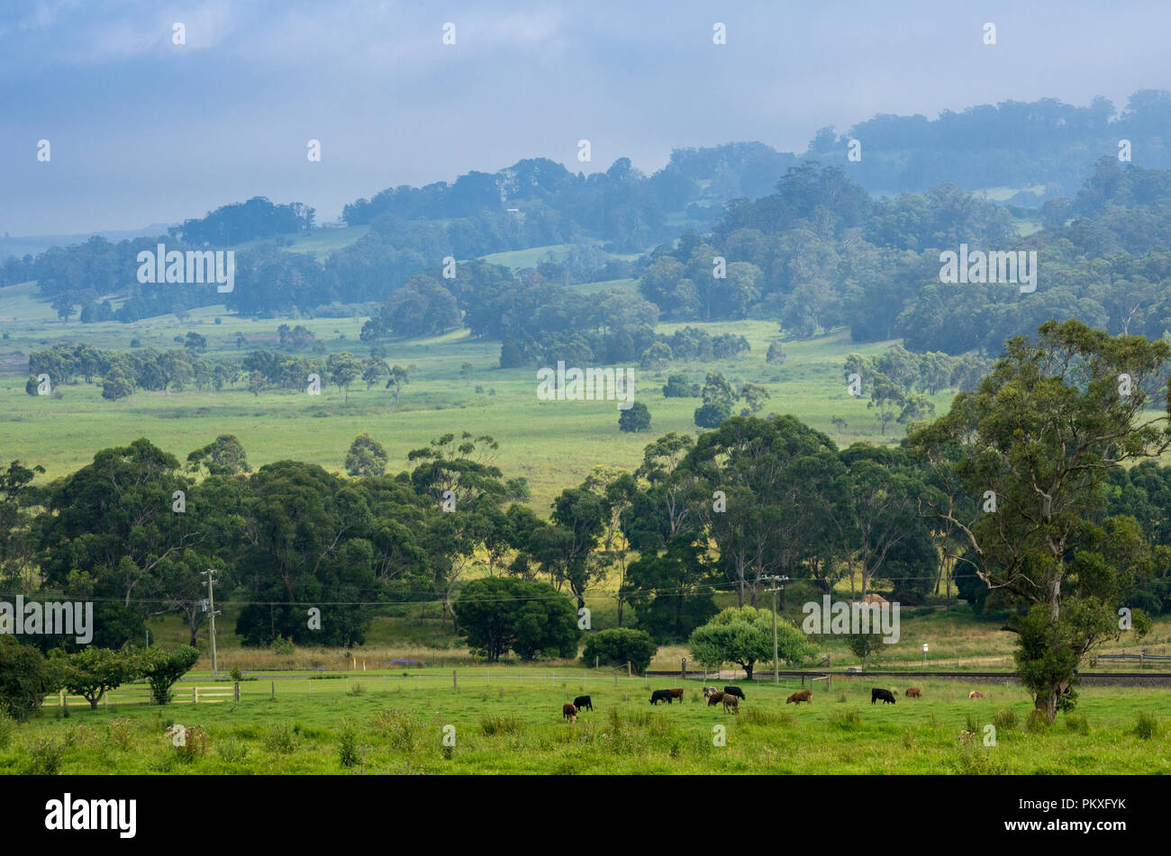 Farmland in the Southern Highlands, New South Wales, Australia Stock Photo Alamy