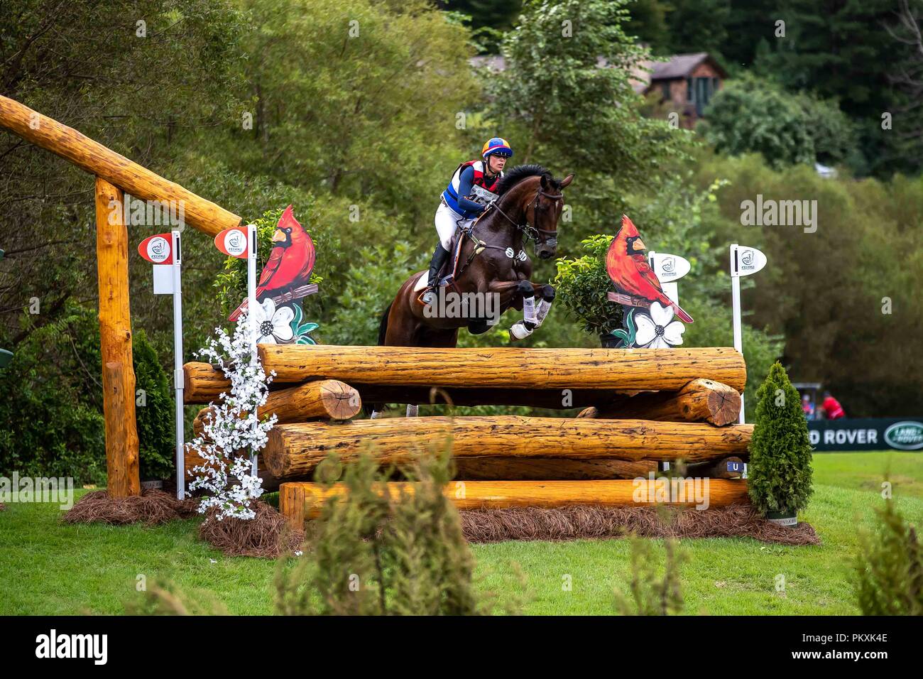 North Carolina, USA. 15th Sept 2018. Merel Blom. Rumour Has it NOP. NED. Eventing Cross country Day 5. World Equestrian Games. WEG 2018 Tryon. North Carolina. USA. 15/09/2018. Credit: Sport In Pictures/Alamy Live News Stock Photo