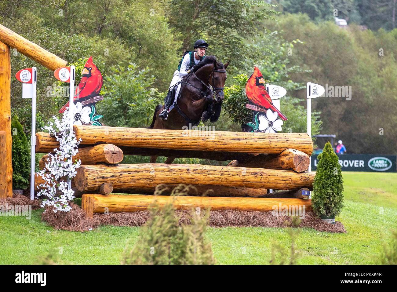 North Carolina, USA. 15th Sept 2018. Felix Vogg. Colero. SUI. Eventing Cross country Day 5. World Equestrian Games. WEG 2018 Tryon. North Carolina. USA. 15/09/2018. Credit: Sport In Pictures/Alamy Live News Stock Photo