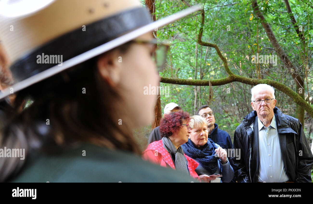 Mill Valley, USA. 15th Sep, 2018. Park guide Ellen Spicer informs Winfried Kretschmann (Alliance 90/The Greens), Prime Minister of Baden-Württemberg, and his wife Gerlinde (l) about giant sequoias during their visit to the Muir Woods National Monument. Kretschmann had previously attended the climate summit in San Francisco. Credit: Nico Pointner/dpa/Alamy Live News Stock Photo