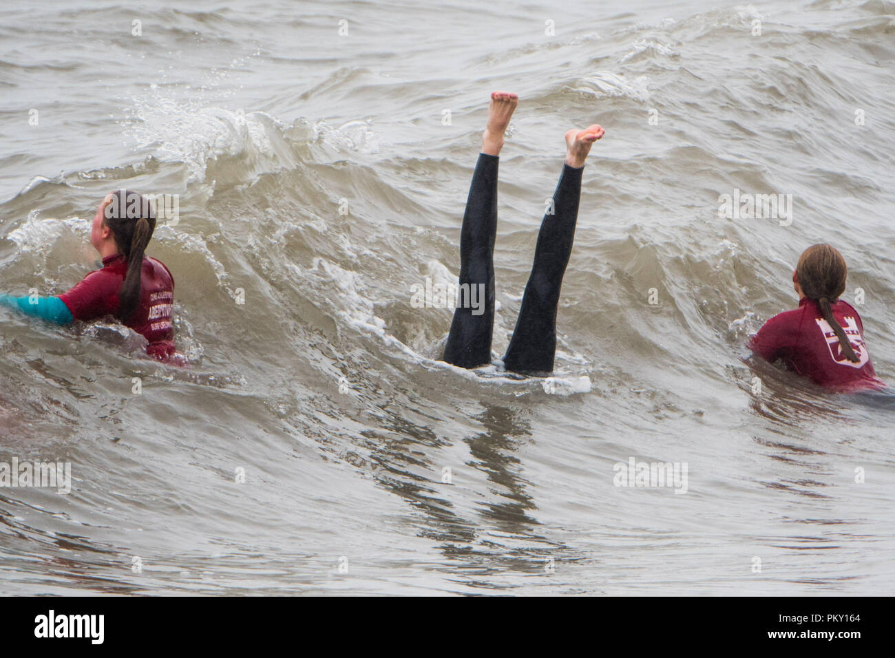 Aberystwyth, Wales, UK. 16 September 2018  UK Weather:  Young members of the local life saving club still train exuberantly in the waves on a wet and windy September Sunday afternoon. The west of the UK is bracing itself for the impact of Storm Helene, which is predicted to strike overnight on Monday, with winds gusting up to 70mph in exposed areas, , with the risk of danger to life from flying debris   Photo © Keith Morris / / Alamy Live News Stock Photo