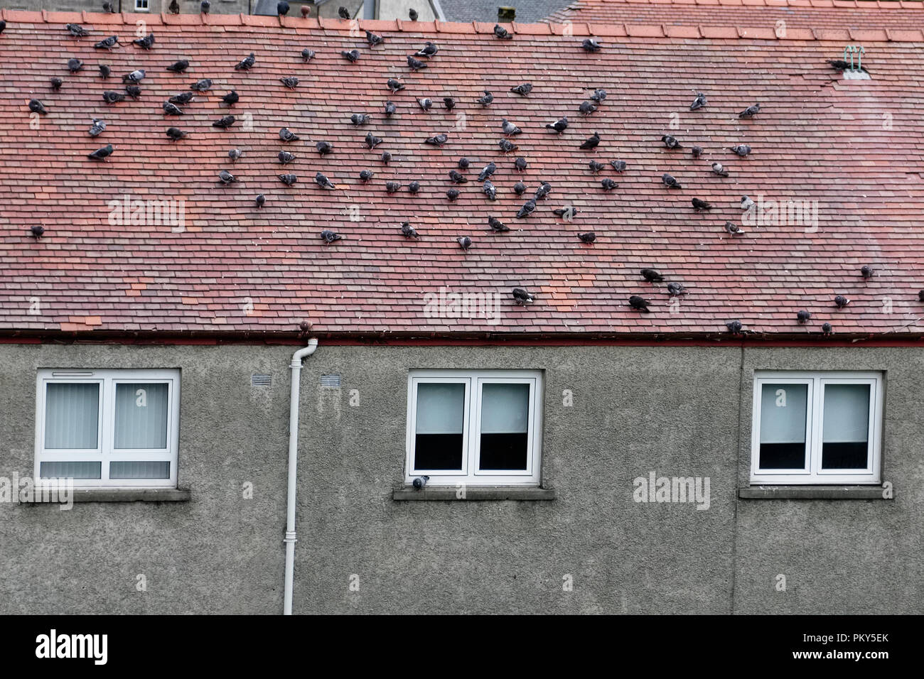 Noise pollution at home hires stock photography and images Alamy