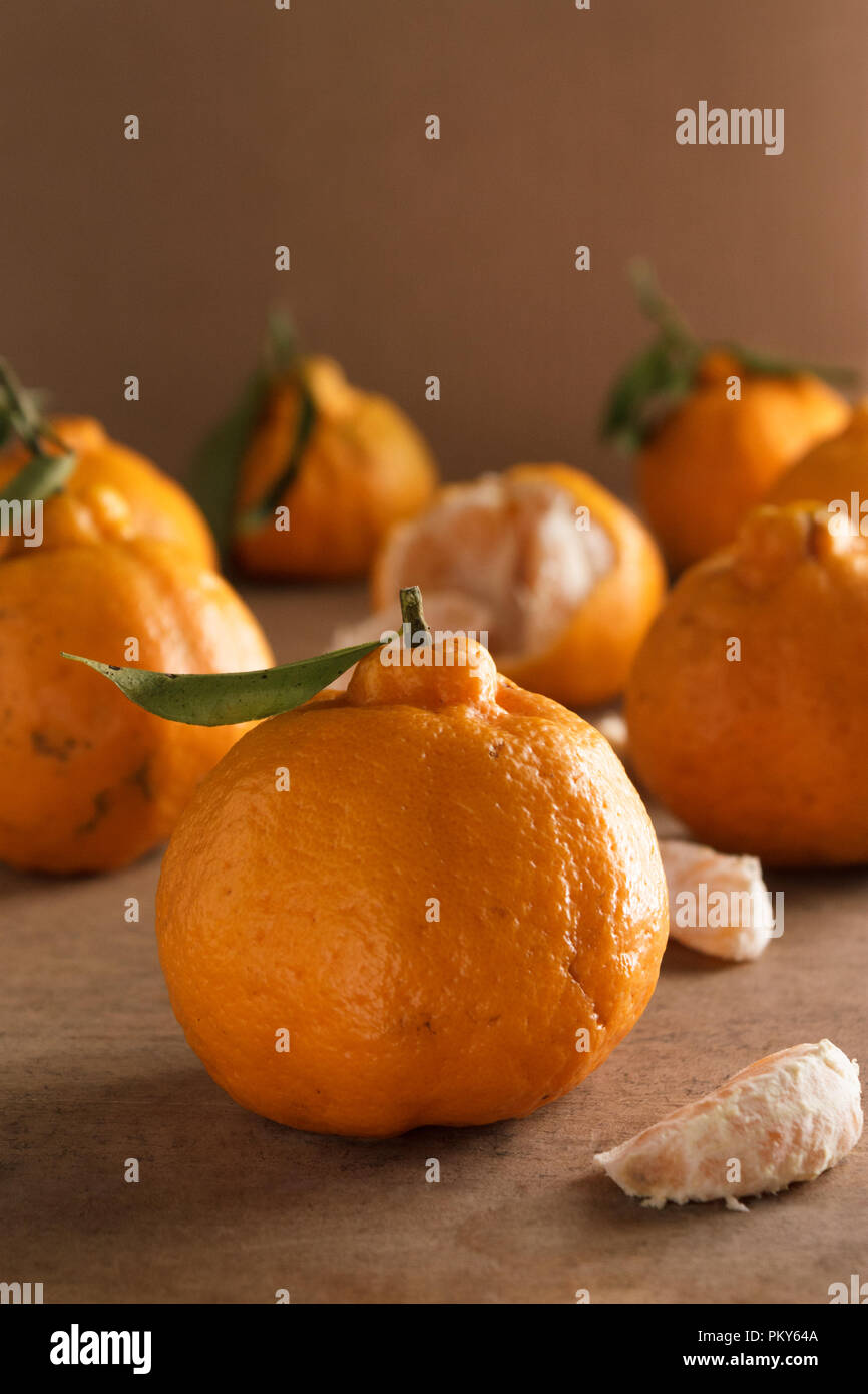 Arrangement of fresh tangerines (scientific nomenclature: Citrus tangerina) on a wooden board with brown background. Front view, selective focus. Stock Photo