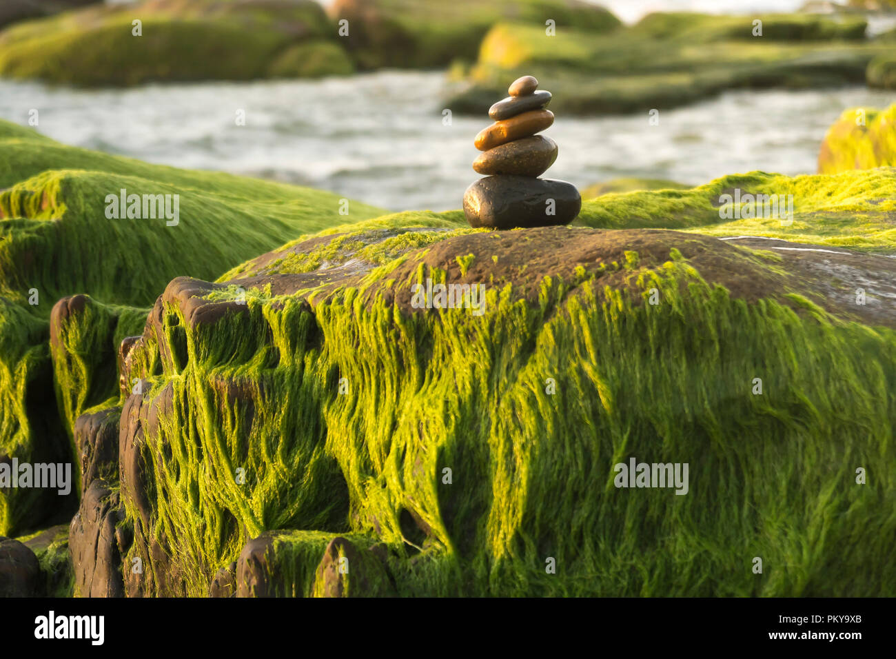 An amazing stack of stones on green moss at the seaside beach Stock Photo