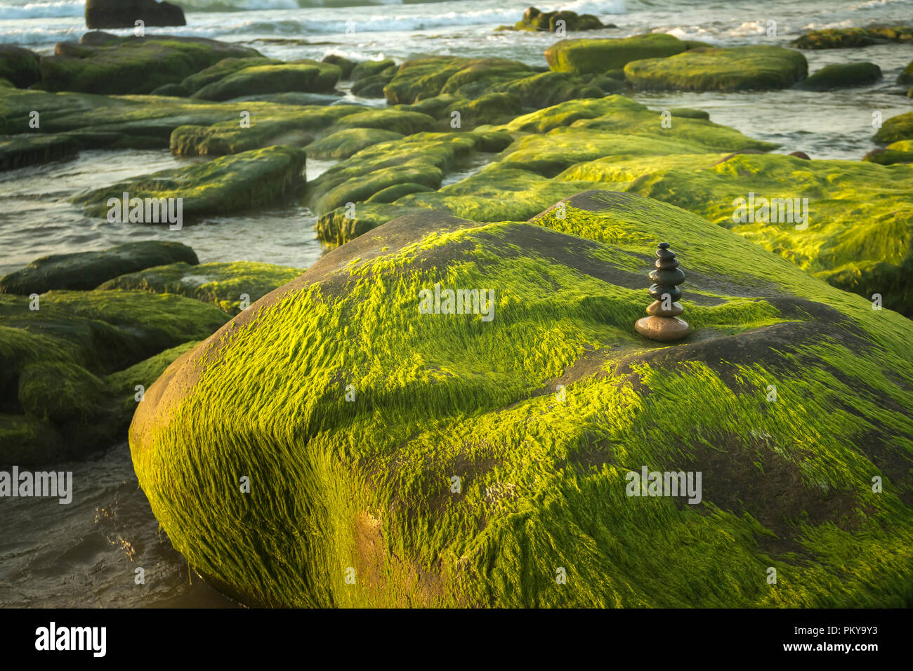 An amazing stack of stones on green moss at the seaside beach Stock Photo