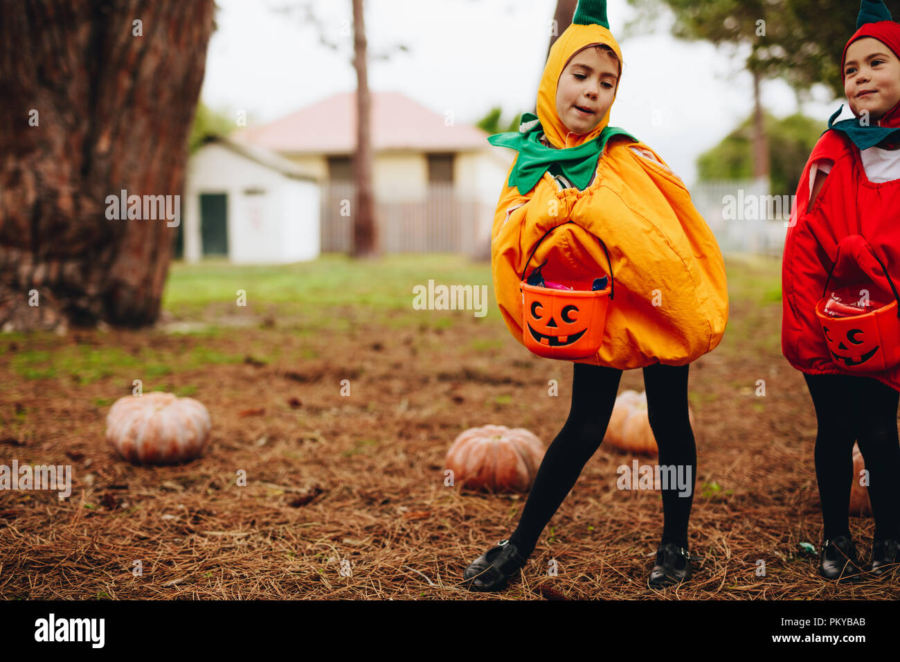 Two little girls in pumpkin costume holding halloween buckets. Identical twin  sisters ready for treat or tricking outdoors Stock Photo - Alamy