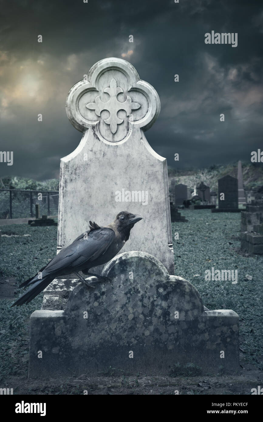 raven sitting on tombstone Stock Photo