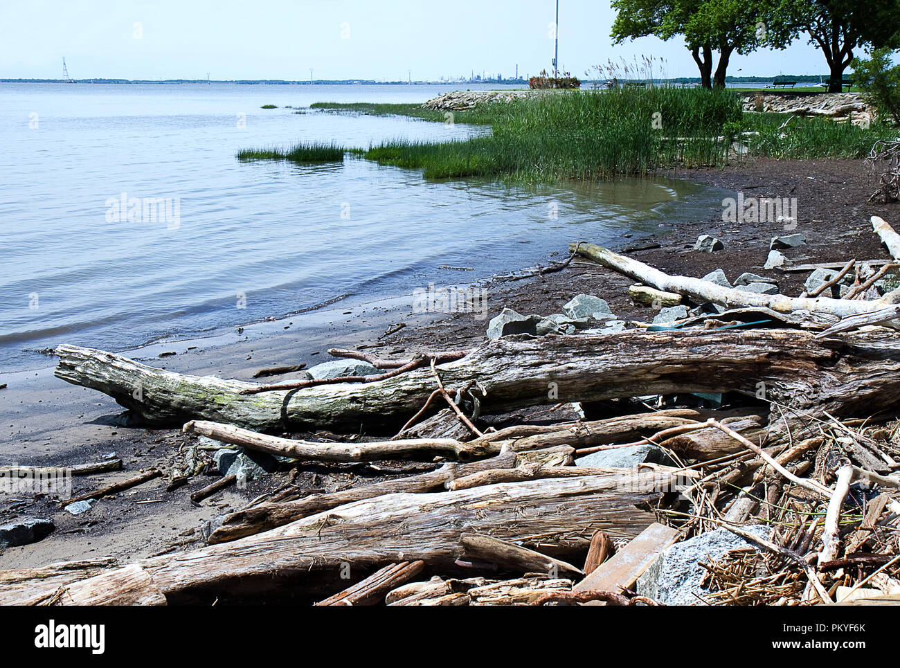 Driftwood piles on shoreline off Delaware River at Battery Park, New