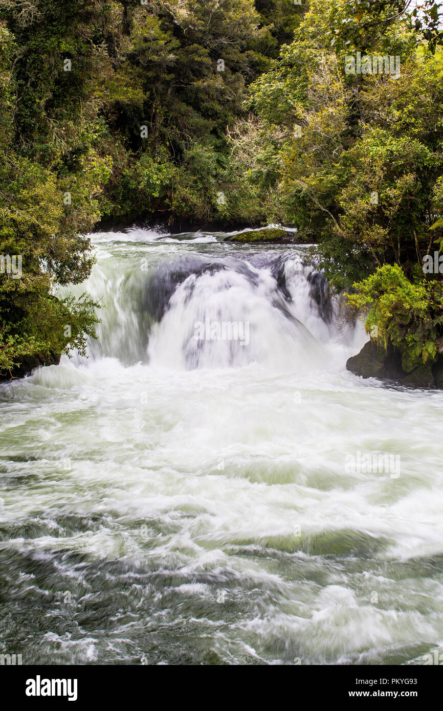 Over looking Kaituna River from viewpoint Stock Photo