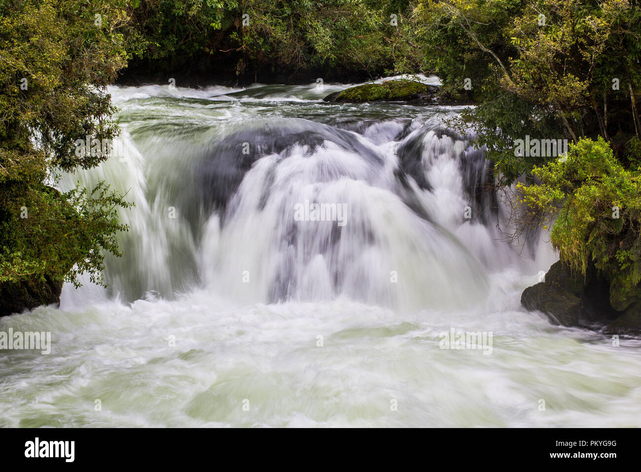 Over looking Kaituna River from viewpoint Stock Photo