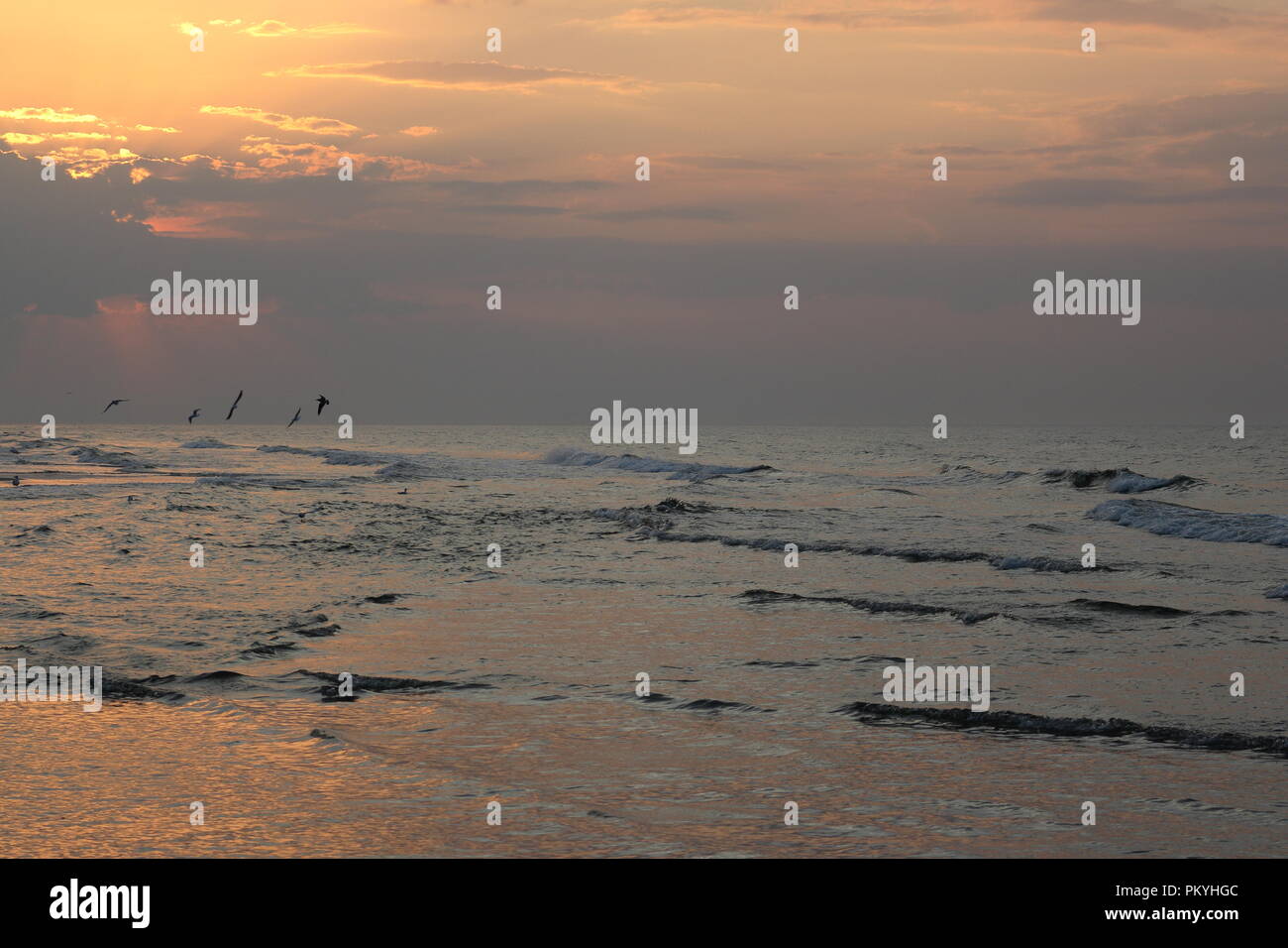 Dramatic sea landscape with silhouettes of seagulls in the distance at sunset Stock Photo