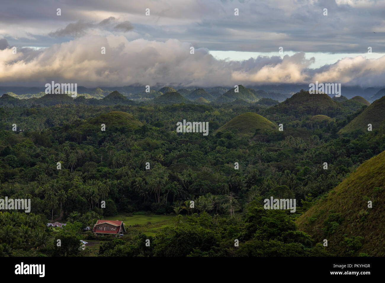 Chocolate hills after the rain Stock Photo Alamy